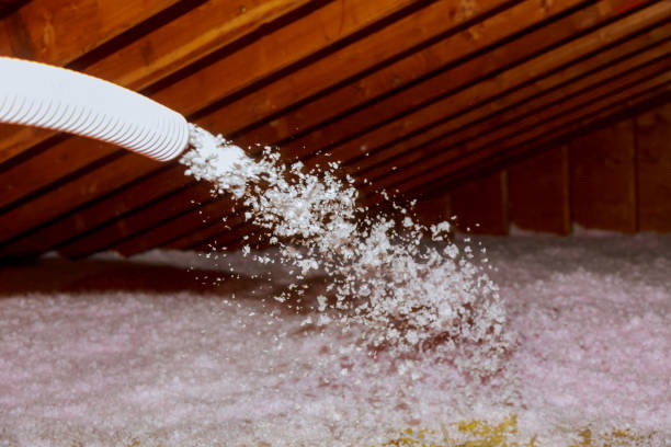 Best DIY Insulation Kits and Guidance in Albany, MN