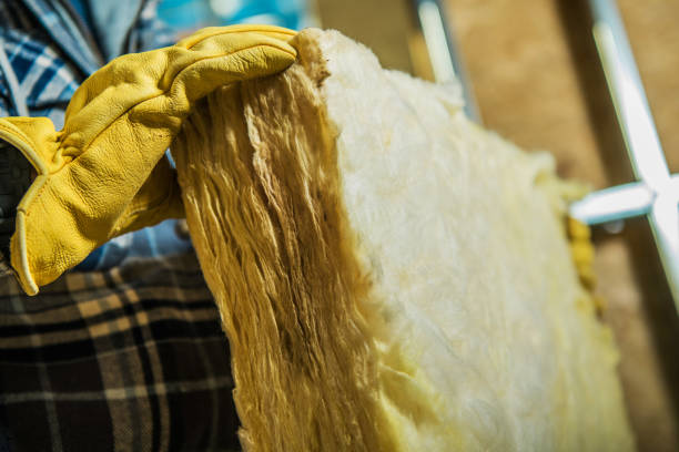 Best Spray Foam Insulation in Albany, MN