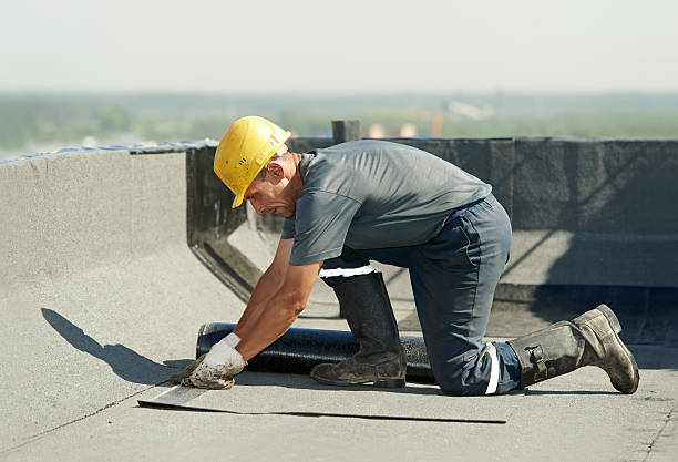Best Eco-Friendly Insulation in Albany, MN
